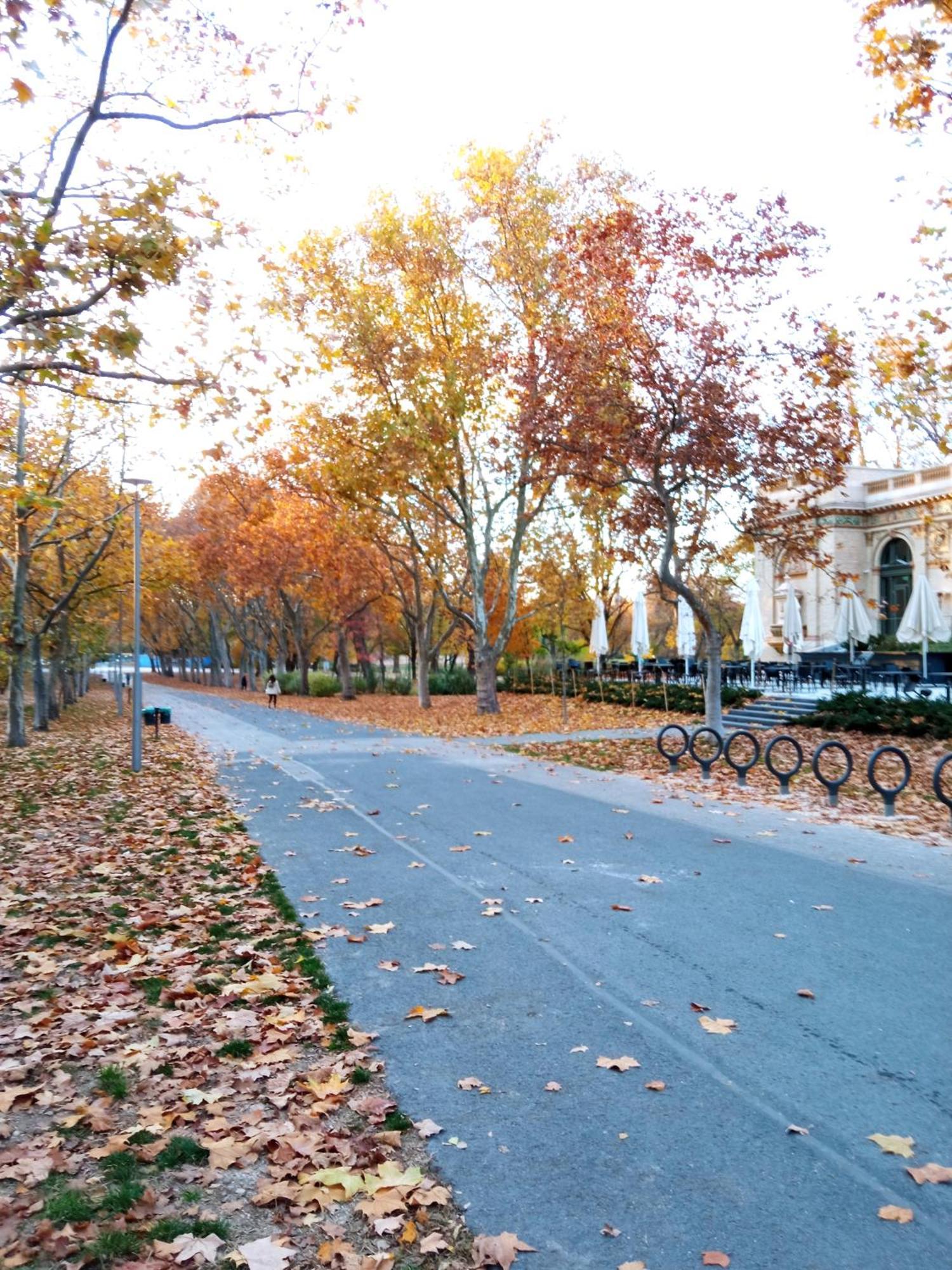 Free Parking Garage! Downtown Apartment Close To New York Cafe Budapest Luaran gambar